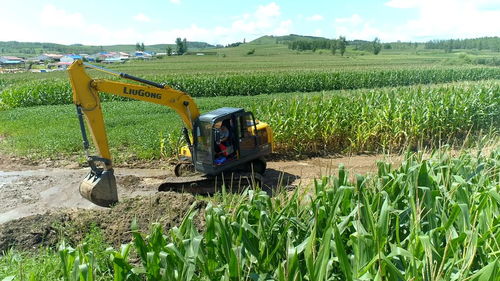 眾志成城 防汛救災丨黑龍江尚志 全力恢復農業生產秩序