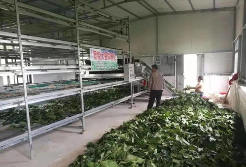 東臺市富安繭絲綢產業園入選省級推介名單