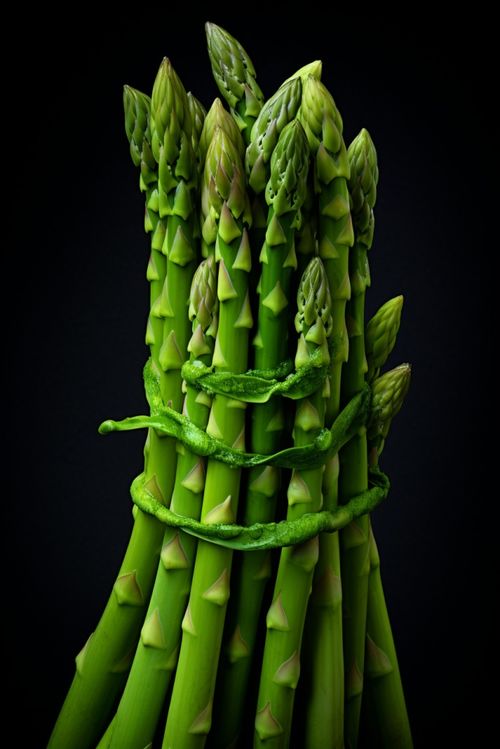 農(nóng)產(chǎn)品蔬菜蘆筍圖片攝影圖 廣告素材 下載至來源處