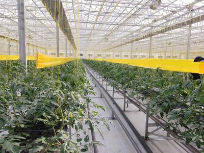 【觀察】緊盯&ldquo;十四五&rdquo;目標 濰坊國家農綜區模式再升級