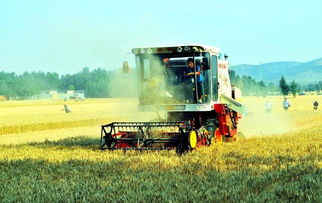 新華網(wǎng)河南 三農(nóng)新聞