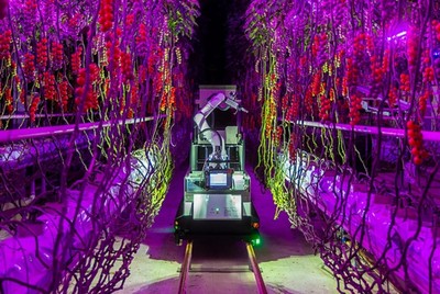 電裝與Certhon跨界創(chuàng)新實踐 Artemy機(jī)器人 開啟農(nóng)業(yè)工廠化時代