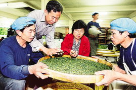 福建力促兩岸農業合作