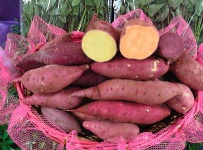 安吉綠耕生態(tài)農(nóng)業(yè)發(fā)展 從“大番薯”看薯類作物的生態(tài)價值與產(chǎn)業(yè)未來