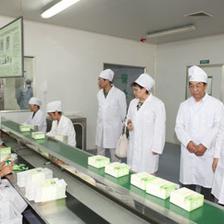保健食品質量安全萬里行走進煙臺 茶葉制品生產引領行業新風